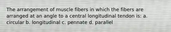 The arrangement of muscle fibers in which the fibers are arranged at an angle to a central longitudinal tendon is: a. circular b. longitudinal c. pennate d. parallel