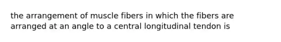 the arrangement of muscle fibers in which the fibers are arranged at an angle to a central longitudinal tendon is