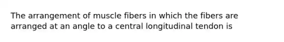 The arrangement of muscle fibers in which the fibers are arranged at an angle to a central longitudinal tendon is