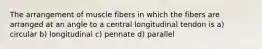 The arrangement of muscle fibers in which the fibers are arranged at an angle to a central longitudinal tendon is a) circular b) longitudinal c) pennate d) parallel