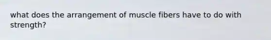 what does the arrangement of muscle fibers have to do with strength?