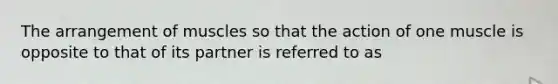 The arrangement of muscles so that the action of one muscle is opposite to that of its partner is referred to as