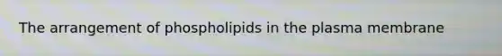 The arrangement of phospholipids in the plasma membrane
