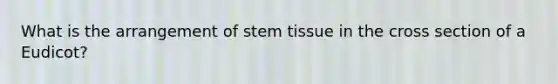 What is the arrangement of stem tissue in the cross section of a Eudicot?