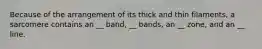 Because of the arrangement of its thick and thin filaments, a sarcomere contains an __ band, __ bands, an __ zone, and an __ line.