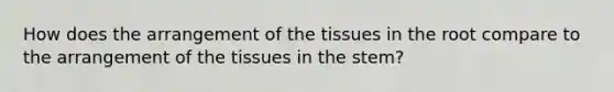 How does the arrangement of the tissues in the root compare to the arrangement of the tissues in the stem?