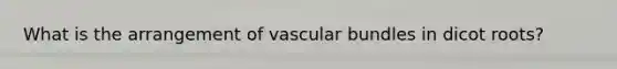 What is the arrangement of vascular bundles in dicot roots?