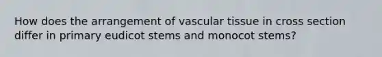 How does the arrangement of vascular tissue in cross section differ in primary eudicot stems and monocot stems?