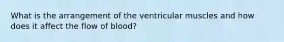 What is the arrangement of the ventricular muscles and how does it affect the flow of blood?