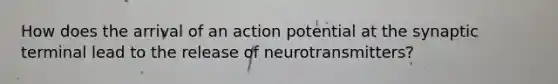 How does the arrival of an action potential at the synaptic terminal lead to the release of neurotransmitters?