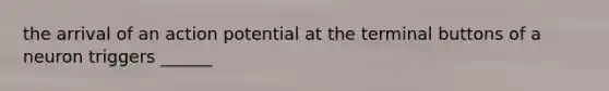 the arrival of an action potential at the terminal buttons of a neuron triggers ______