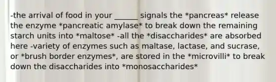 -the arrival of food in your ______ signals the *pancreas* release the enzyme *pancreatic amylase* to break down the remaining starch units into *maltose* -all the *disaccharides* are absorbed here -variety of enzymes such as maltase, lactase, and sucrase, or *brush border enzymes*, are stored in the *microvilli* to break down the disaccharides into *monosaccharides*