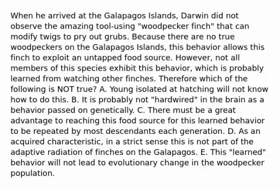 When he arrived at the Galapagos Islands, Darwin did not observe the amazing tool-using "woodpecker finch" that can modify twigs to pry out grubs. Because there are no true woodpeckers on the Galapagos Islands, this behavior allows this finch to exploit an untapped food source. However, not all members of this species exhibit this behavior, which is probably learned from watching other finches. Therefore which of the following is NOT true? A. Young isolated at hatching will not know how to do this. B. It is probably not "hardwired" in the brain as a behavior passed on genetically. C. There must be a great advantage to reaching this food source for this learned behavior to be repeated by most descendants each generation. D. As an acquired characteristic, in a strict sense this is not part of the adaptive radiation of finches on the Galapagos. E. This "learned" behavior will not lead to evolutionary change in the woodpecker population.