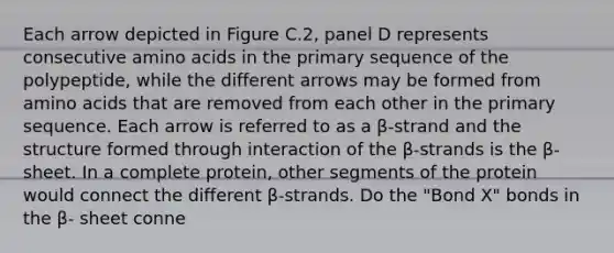 Each arrow depicted in Figure C.2, panel D represents consecutive amino acids in the primary sequence of the polypeptide, while the different arrows may be formed from amino acids that are removed from each other in the primary sequence. Each arrow is referred to as a β-strand and the structure formed through interaction of the β-strands is the β-sheet. In a complete protein, other segments of the protein would connect the different β-strands. Do the "Bond X" bonds in the β- sheet conne