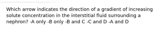 Which arrow indicates the direction of a gradient of increasing solute concentration in the interstitial fluid surrounding a nephron? -A only -B only -B and C -C and D -A and D