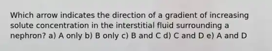 Which arrow indicates the direction of a gradient of increasing solute concentration in the interstitial fluid surrounding a nephron? a) A only b) B only c) B and C d) C and D e) A and D