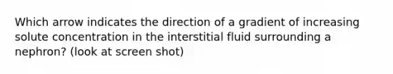 Which arrow indicates the direction of a gradient of increasing solute concentration in the interstitial fluid surrounding a nephron? (look at screen shot)