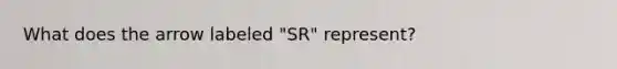 What does the arrow labeled "SR" represent?