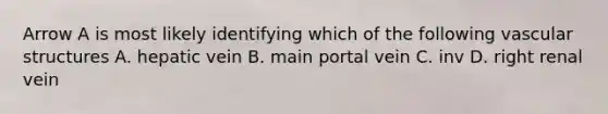 Arrow A is most likely identifying which of the following vascular structures A. hepatic vein B. main portal vein C. inv D. right renal vein