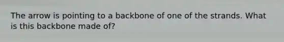 The arrow is pointing to a backbone of one of the strands. What is this backbone made of?