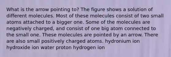 What is the arrow pointing to? The figure shows a solution of different molecules. Most of these molecules consist of two small atoms attached to a bigger one. Some of the molecules are negatively charged, and consist of one big atom connected to the small one. These molecules are pointed by an arrow. There are also small positively charged atoms. hydronium ion hydroxide ion water proton hydrogen ion