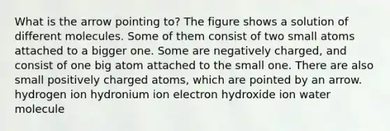 What is the arrow pointing to? The figure shows a solution of different molecules. Some of them consist of two small atoms attached to a bigger one. Some are negatively charged, and consist of one big atom attached to the small one. There are also small positively charged atoms, which are pointed by an arrow. hydrogen ion hydronium ion electron hydroxide ion water molecule