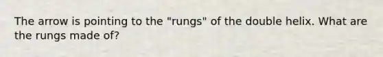 The arrow is pointing to the "rungs" of the double helix. What are the rungs made of?