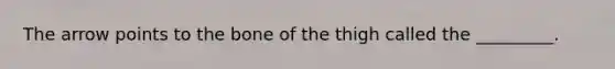 The arrow points to the bone of the thigh called the _________.