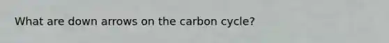 What are down arrows on the carbon cycle?