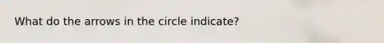 What do the arrows in the circle indicate?