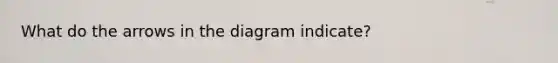 What do the arrows in the diagram indicate?