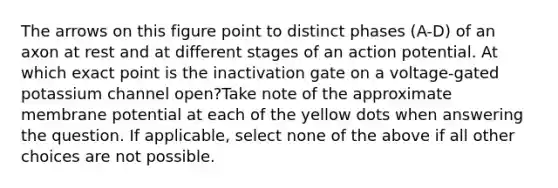 The arrows on this figure point to distinct phases (A-D) of an axon at rest and at different stages of an action potential. At which exact point is the inactivation gate on a voltage-gated potassium channel open?Take note of the approximate membrane potential at each of the yellow dots when answering the question. If applicable, select none of the above if all other choices are not possible.