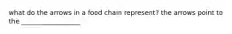 what do the arrows in a food chain represent? the arrows point to the __________________