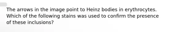 The arrows in the image point to Heinz bodies in erythrocytes. Which of the following stains was used to confirm the presence of these inclusions?