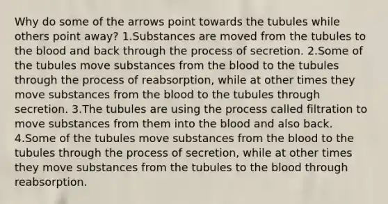 Why do some of the arrows point towards the tubules while others point away? 1.Substances are moved from the tubules to the blood and back through the process of secretion. 2.Some of the tubules move substances from the blood to the tubules through the process of reabsorption, while at other times they move substances from the blood to the tubules through secretion. 3.The tubules are using the process called filtration to move substances from them into the blood and also back. 4.Some of the tubules move substances from the blood to the tubules through the process of secretion, while at other times they move substances from the tubules to the blood through reabsorption.