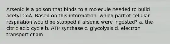 Arsenic is a poison that binds to a molecule needed to build acetyl CoA. Based on this information, which part of cellular respiration would be stopped if arsenic were ingested? a. the citric acid cycle b. ATP synthase c. glycolysis d. electron transport chain