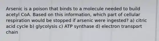 Arsenic is a poison that binds to a molecule needed to build acetyl CoA. Based on this information, which part of cellular respiration would be stopped if arsenic were ingested? a) citric acid cycle b) glycolysis c) ATP synthase d) electron transport chain