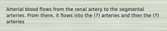 Arterial blood flows from the renal artery to the segmental arteries. From there, it flows into the (?) arteries and then the (?) arteries