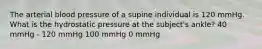 The arterial blood pressure of a supine individual is 120 mmHg. What is the hydrostatic pressure at the subject's ankle? 40 mmHg - 120 mmHg 100 mmHg 0 mmHg