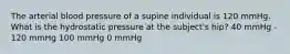 The arterial blood pressure of a supine individual is 120 mmHg. What is the hydrostatic pressure at the subject's hip? 40 mmHg - 120 mmHg 100 mmHg 0 mmHg