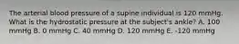 The arterial blood pressure of a supine individual is 120 mmHg. What is the hydrostatic pressure at the subject's ankle? A. 100 mmHg B. 0 mmHg C. 40 mmHg D. 120 mmHg E. -120 mmHg