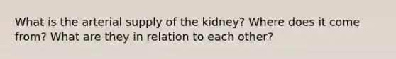 What is the arterial supply of the kidney? Where does it come from? What are they in relation to each other?