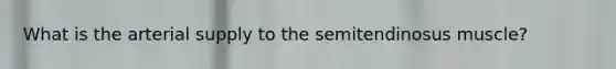 What is the arterial supply to the semitendinosus muscle?