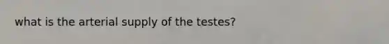 what is the arterial supply of the testes?