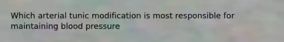 Which arterial tunic modification is most responsible for maintaining blood pressure