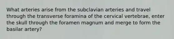 What arteries arise from the subclavian arteries and travel through the transverse foramina of the cervical vertebrae, enter the skull through the foramen magnum and merge to form the basilar artery?