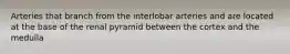 Arteries that branch from the interlobar arteries and are located at the base of the renal pyramid between the cortex and the medulla