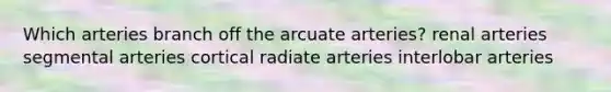 Which arteries branch off the arcuate arteries? renal arteries segmental arteries cortical radiate arteries interlobar arteries