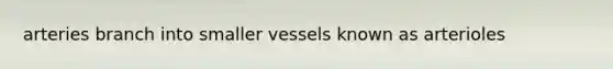 arteries branch into smaller vessels known as arterioles