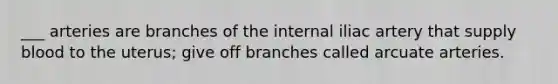 ___ arteries are branches of the internal iliac artery that supply blood to the uterus; give off branches called arcuate arteries.